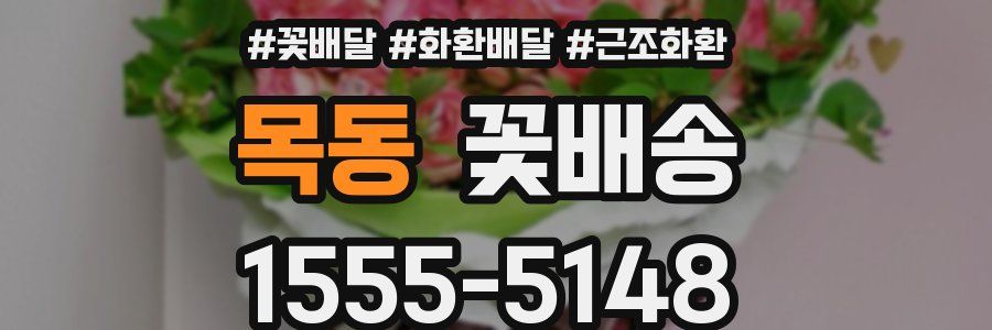 목동 꽃배송