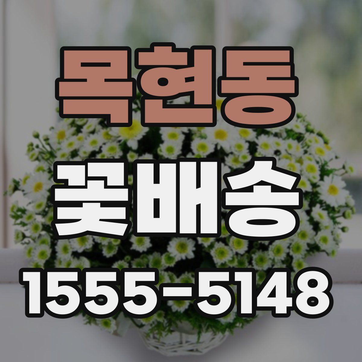 목현동 꽃배송