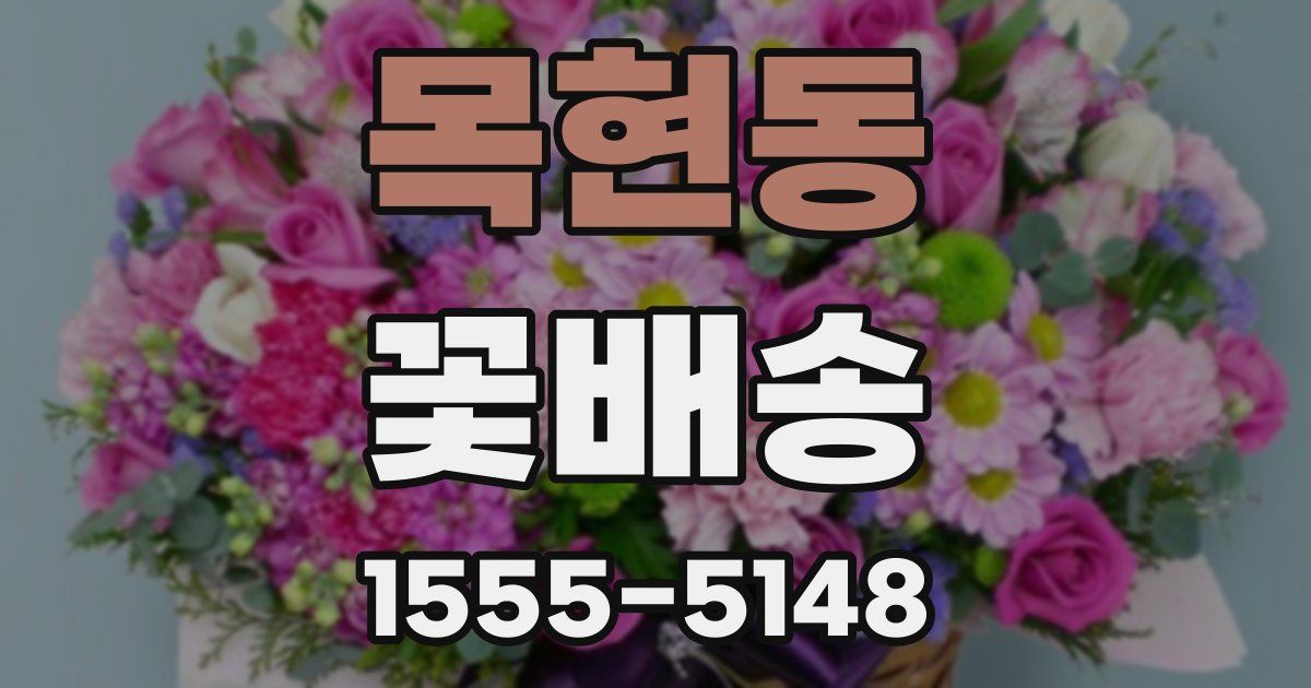 목현동 꽃배송