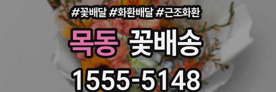 목동 꽃배송