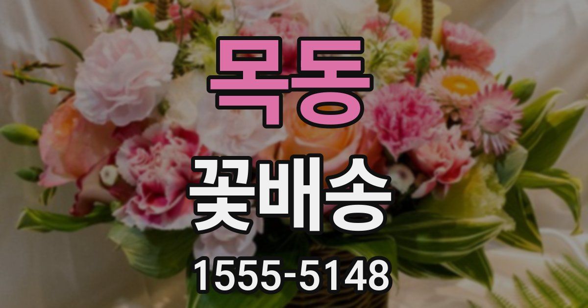 목동 꽃배송