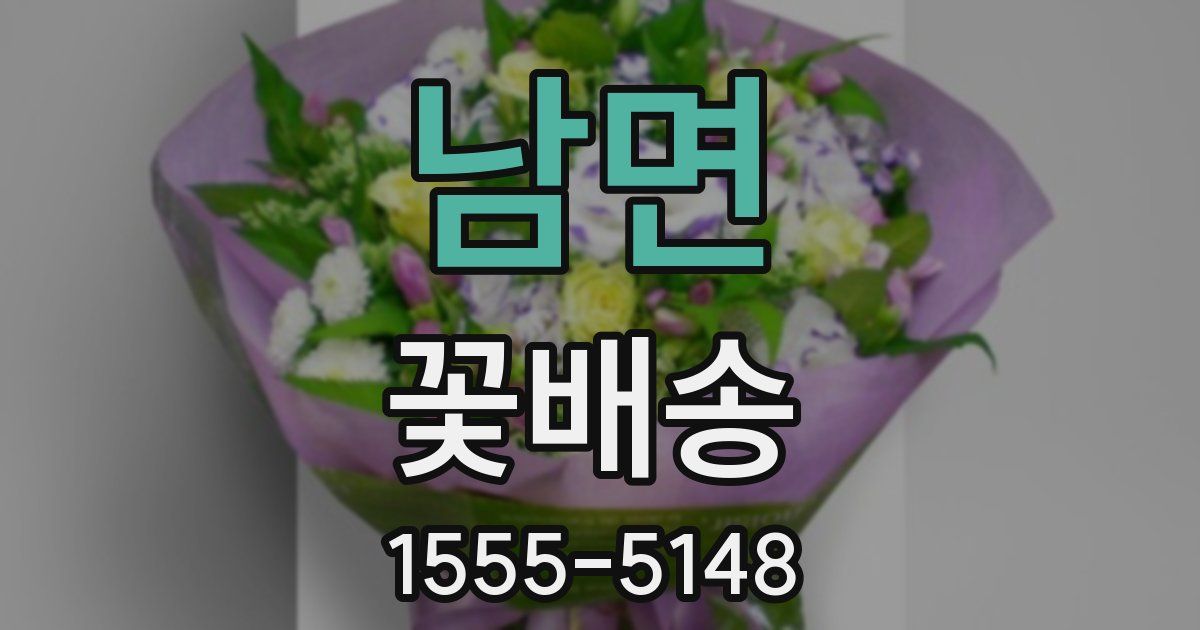 남면 꽃배송