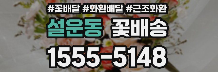 설운동 꽃배송