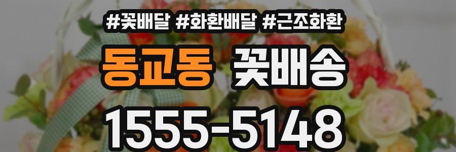 동교동 꽃배송