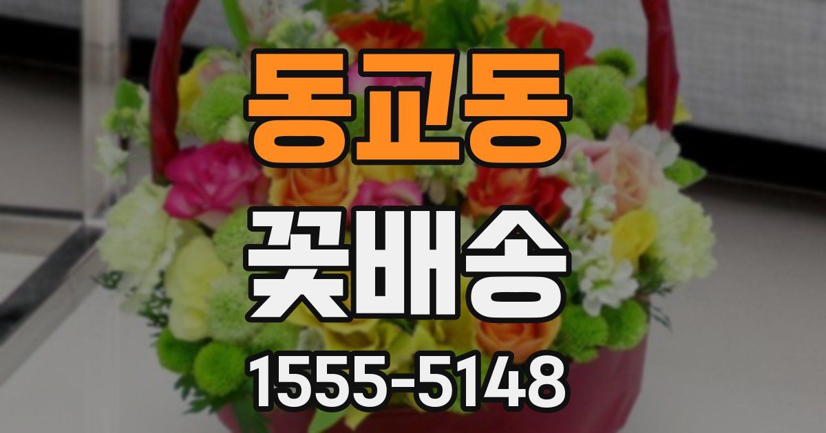 동교동 꽃배송
