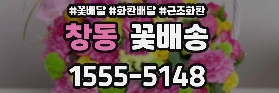 창동 꽃배송