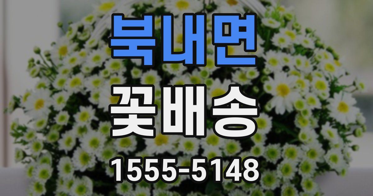 북내면 꽃배송