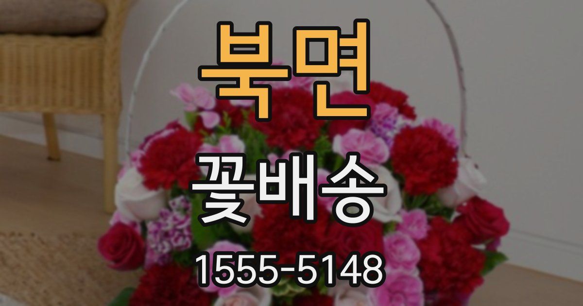 북면 꽃배송