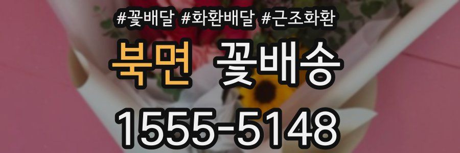 북면 꽃배송