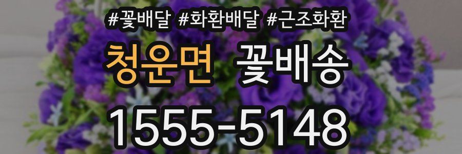 청운면 꽃배송