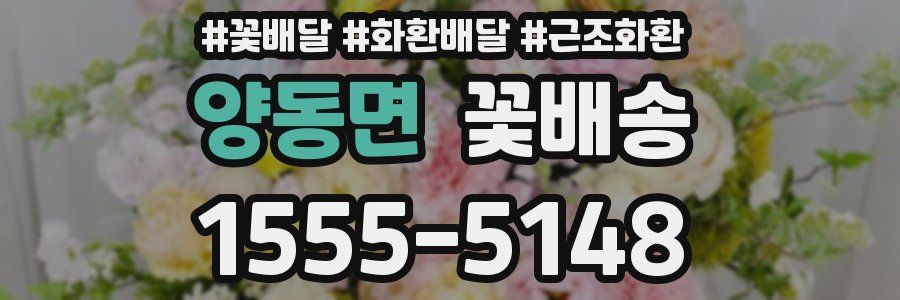 양동면 꽃배송