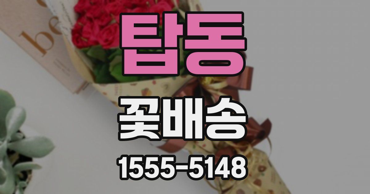 탑동 꽃배송