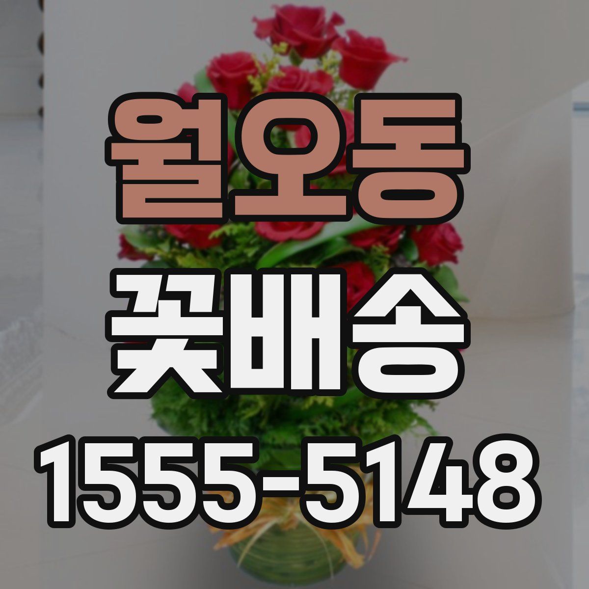 월오동 꽃배송