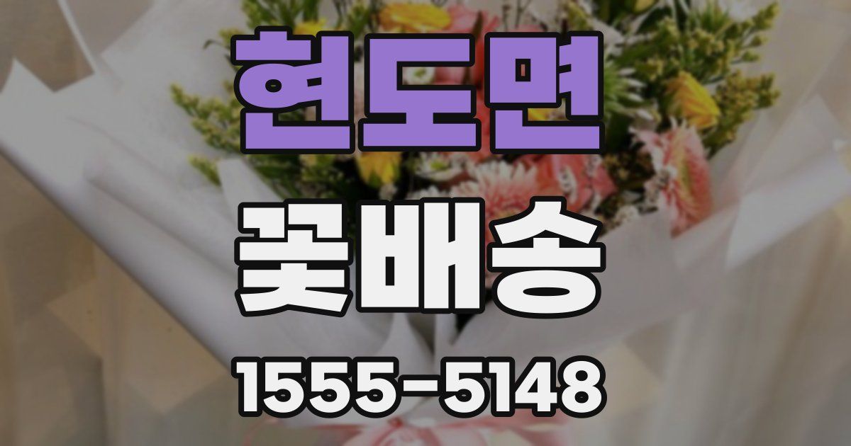 현도면 꽃배송