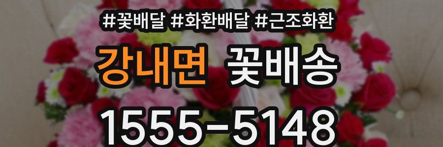 강내면 꽃배송