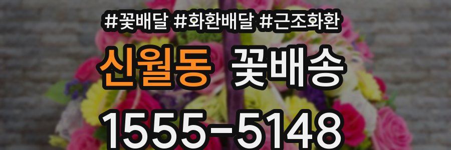 신월동 꽃배송