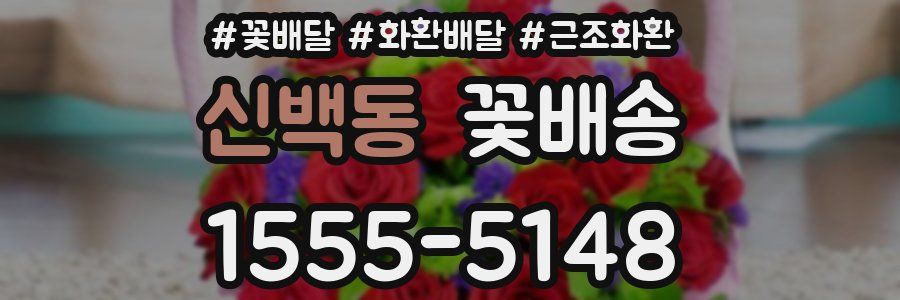 신백동 꽃배송