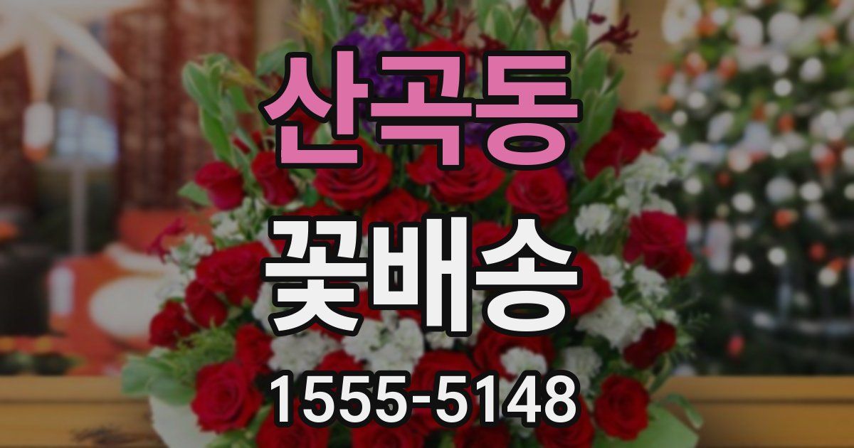 산곡동 꽃배송