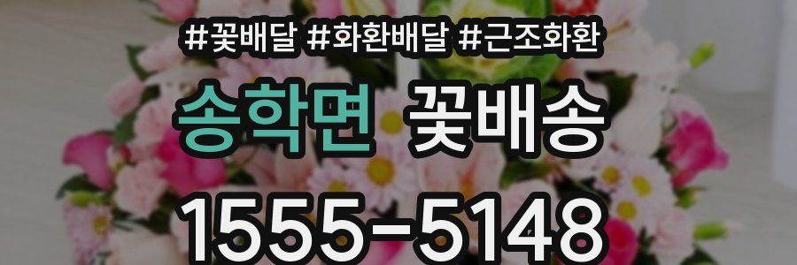 송학면 꽃배송