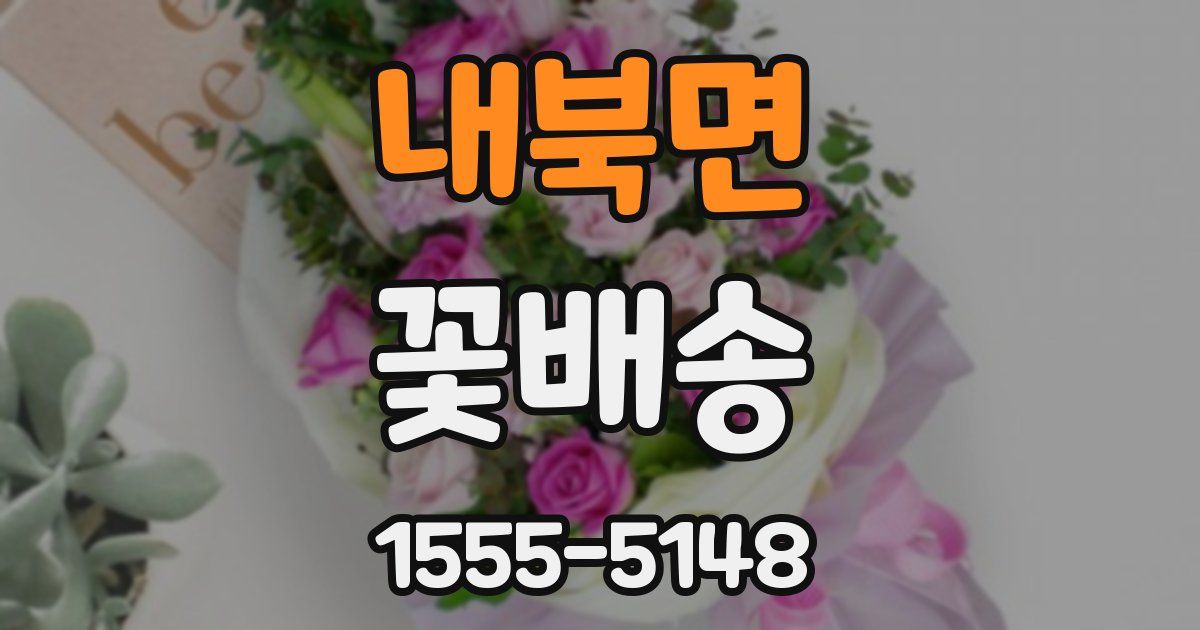 내북면 꽃배송