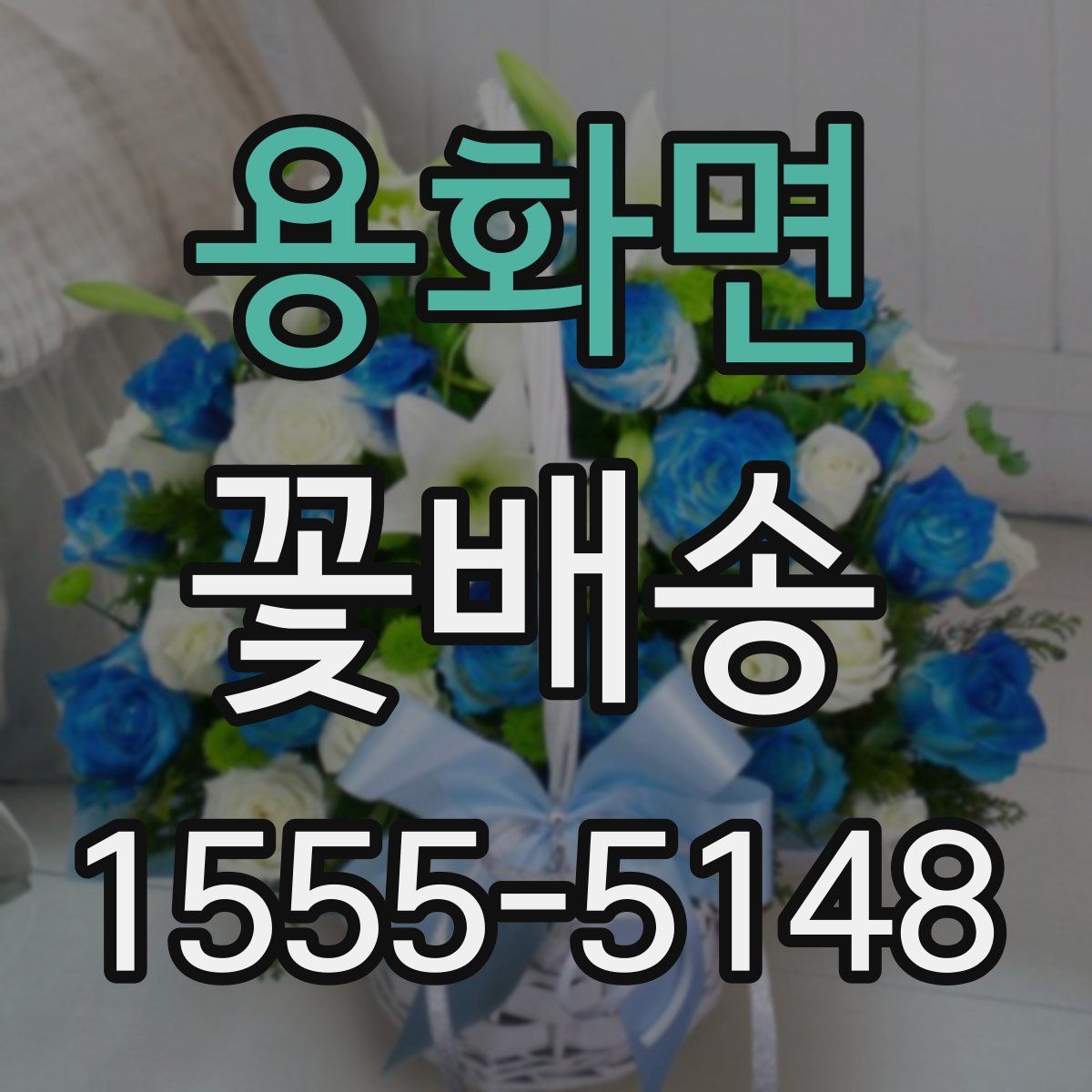 용화면 꽃배송