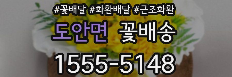 도안면 꽃배송