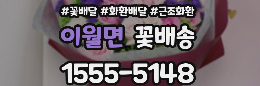 이월면 꽃배송