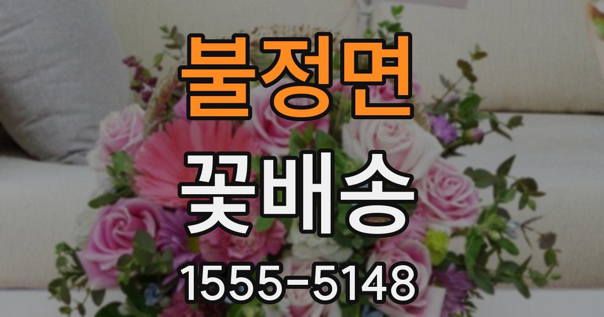 불정면 꽃배송