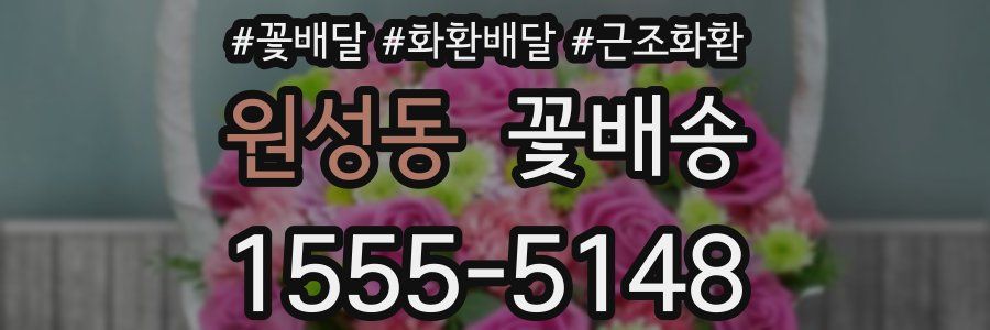 원성동 꽃배송