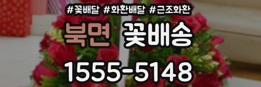 북면 꽃배송
