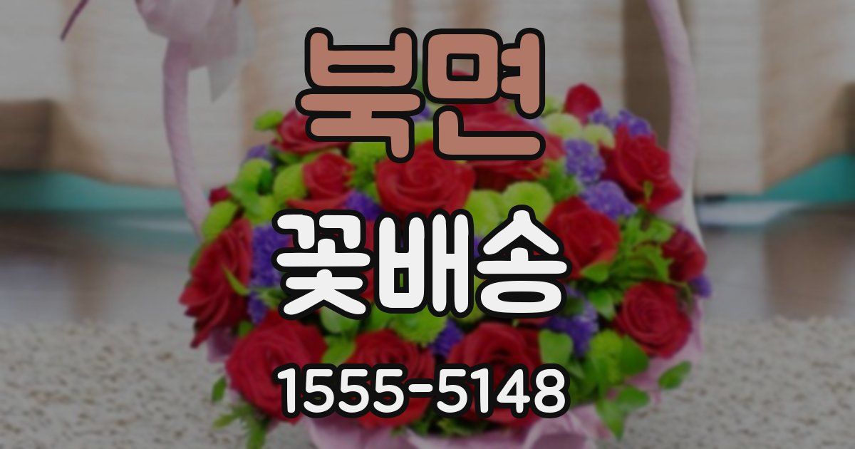 북면 꽃배송