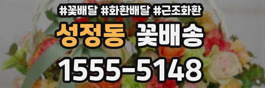 성정동 꽃배송