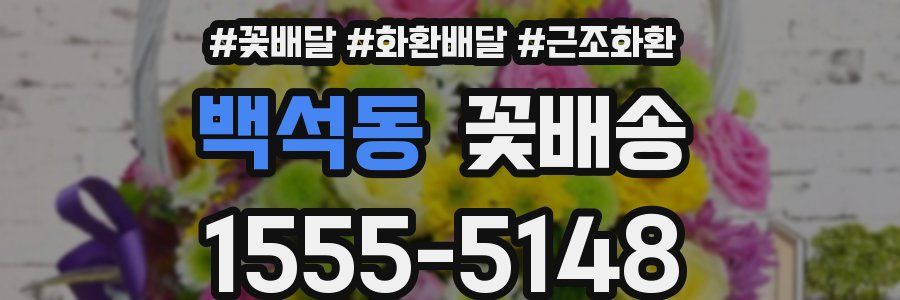 백석동 꽃배송