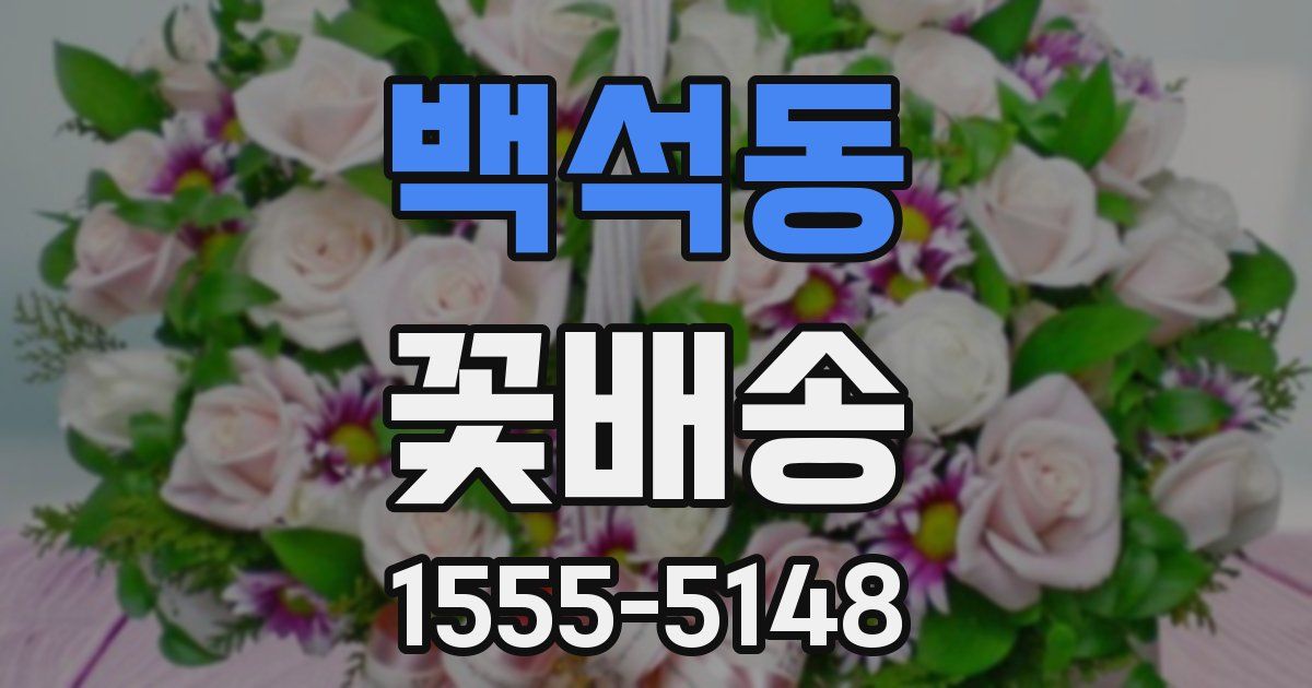 백석동 꽃배송