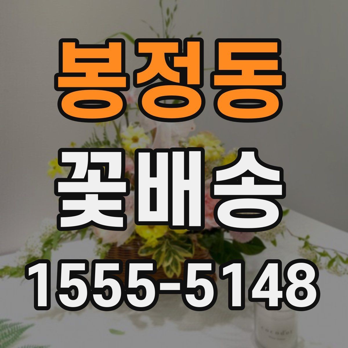 봉정동 꽃배송 선물 포장 옵션 비교하기
