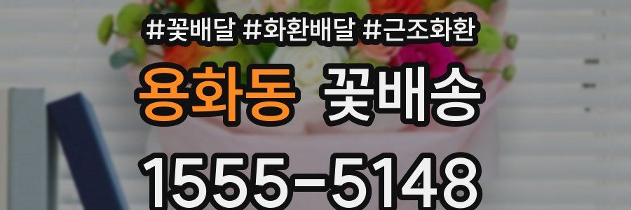 용화동 꽃배송