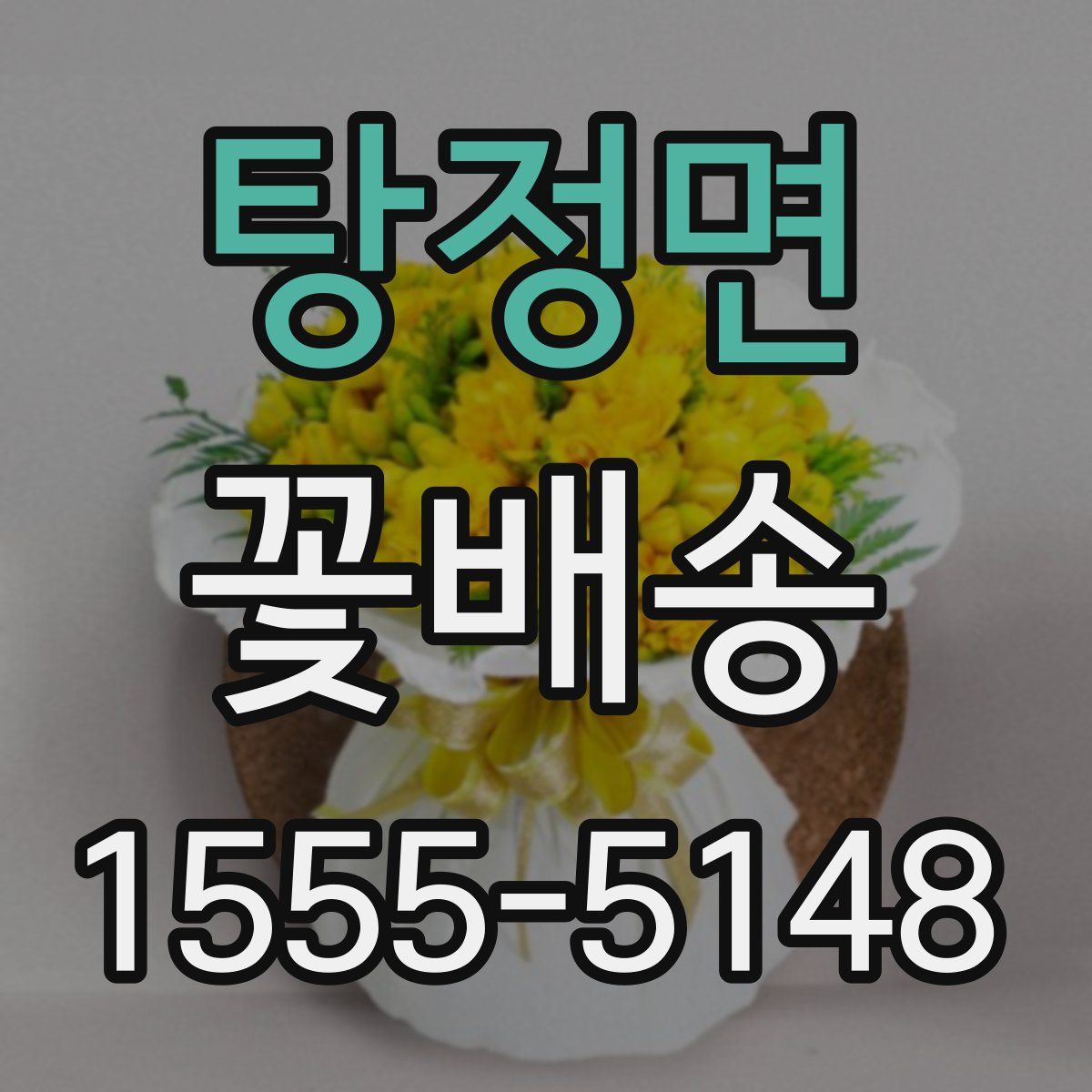 탕정면 꽃배송