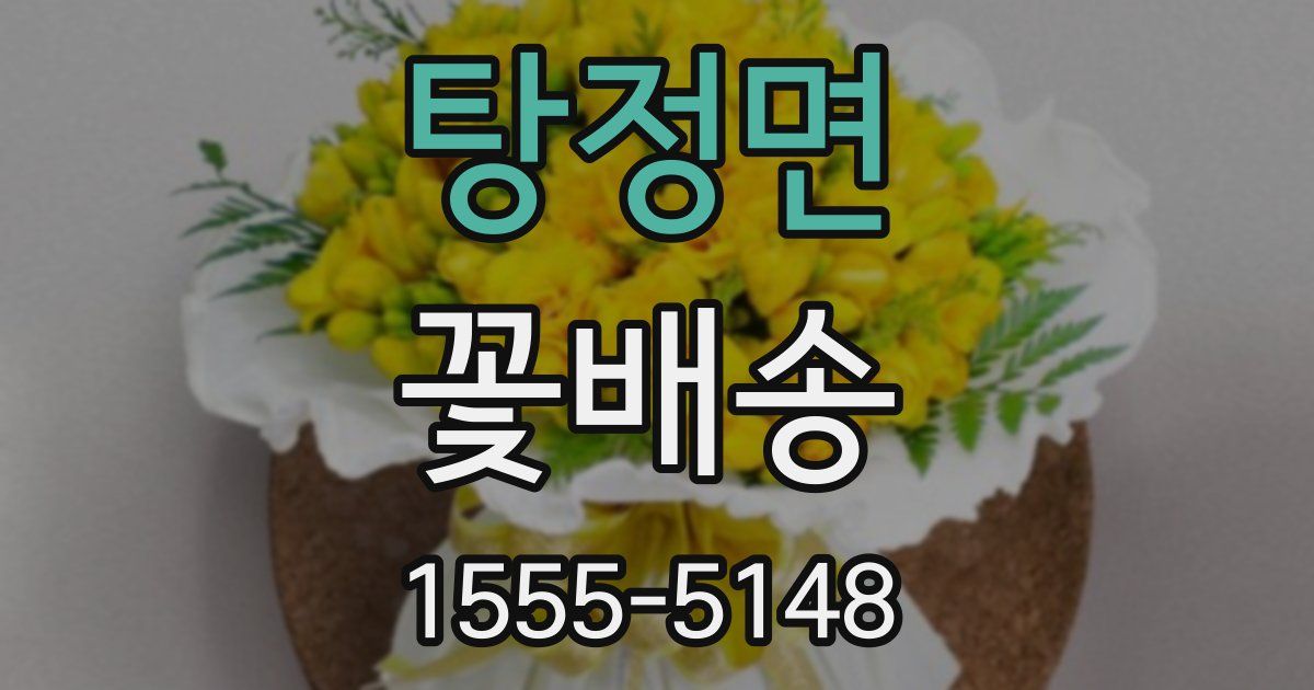 탕정면 꽃배송