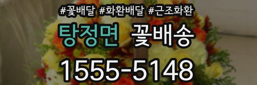 탕정면 꽃배송