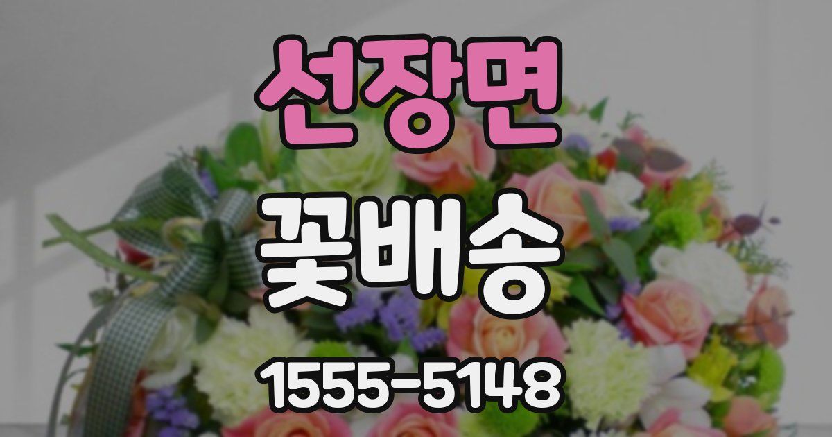 선장면 꽃배송