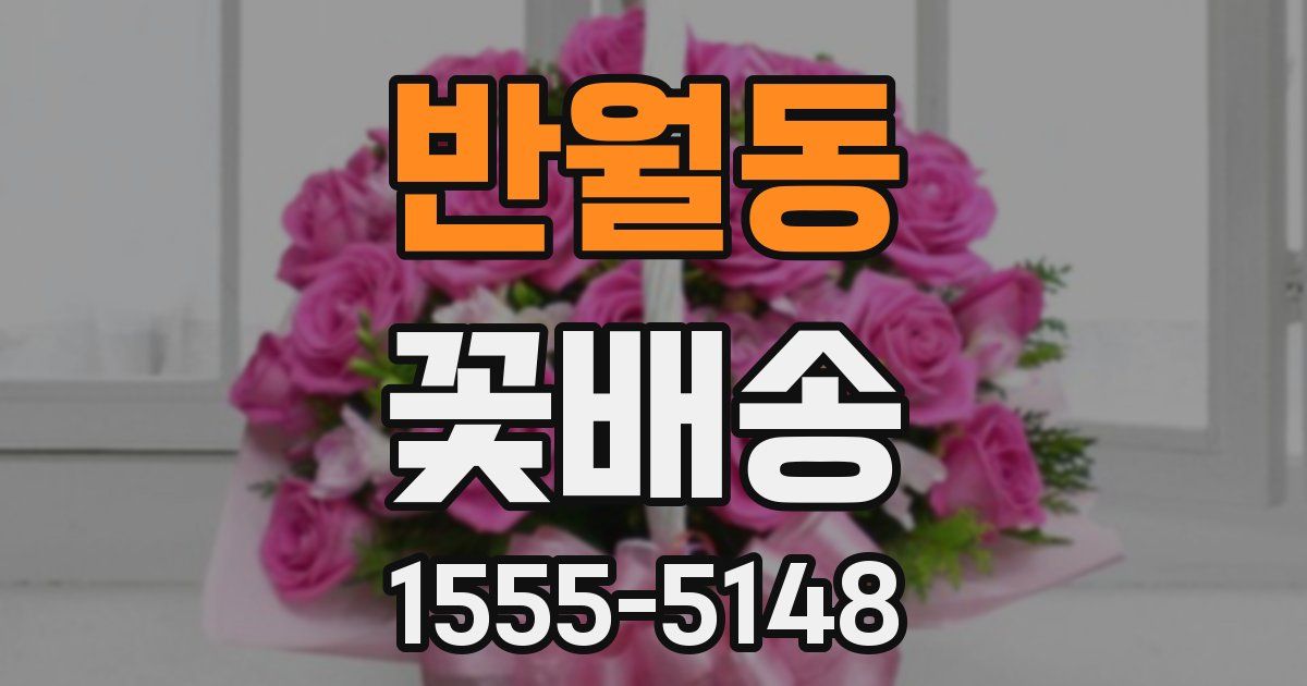 반월동 꽃배송