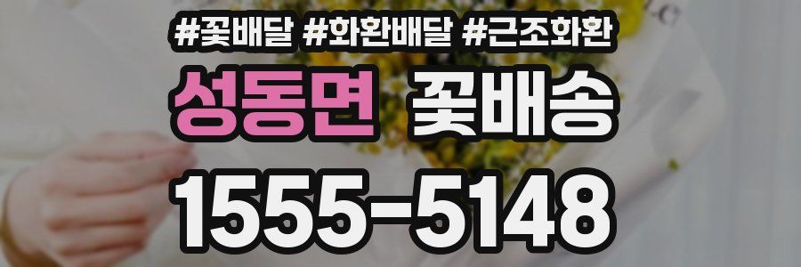성동면 꽃배송