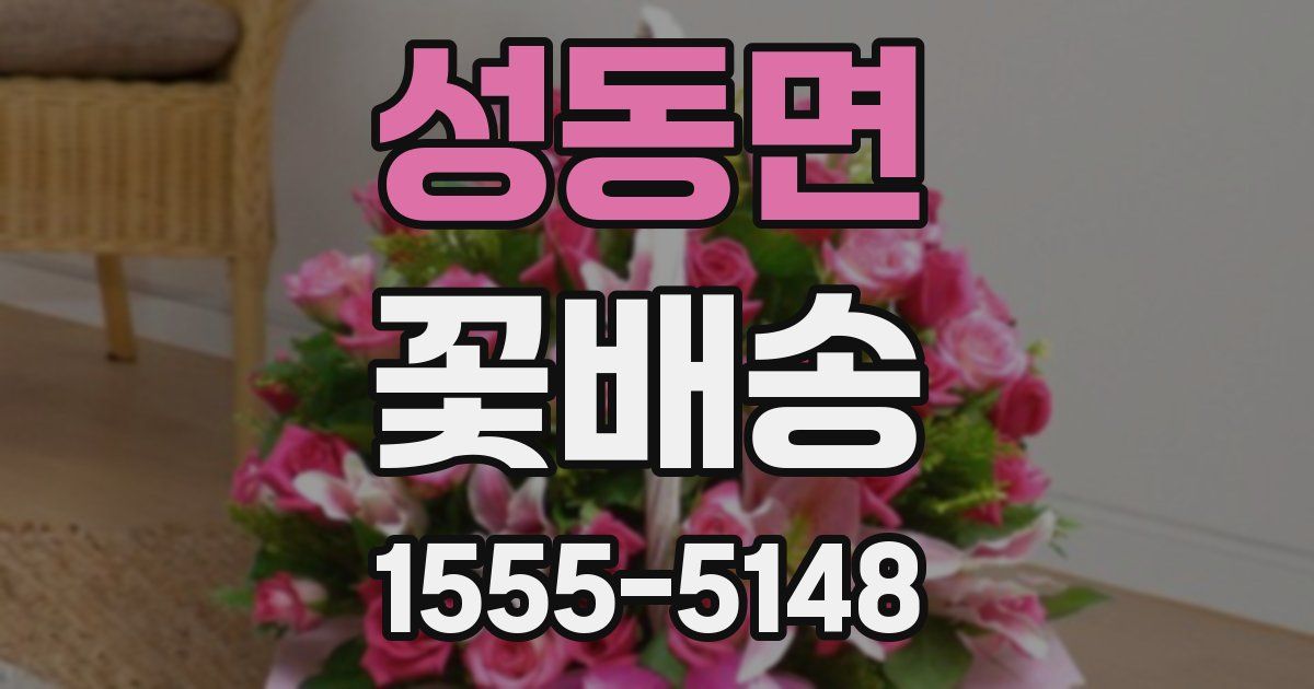 성동면 꽃배송