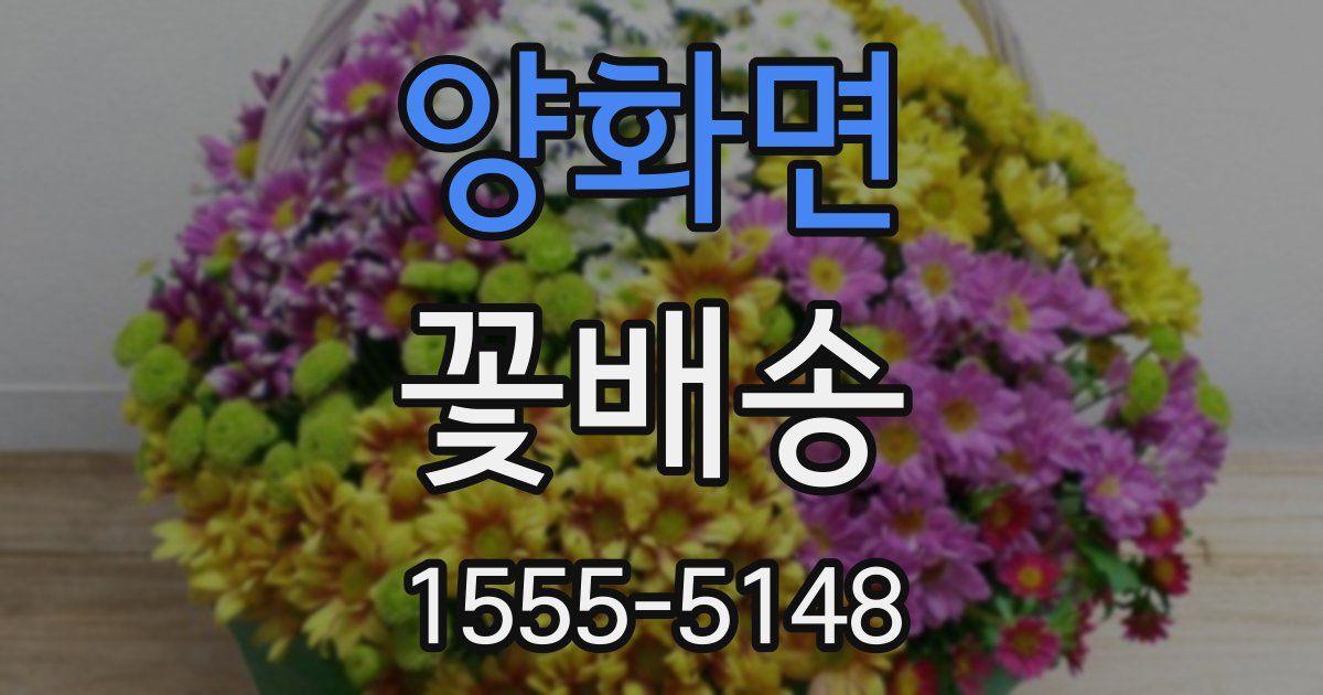양화면 꽃배송