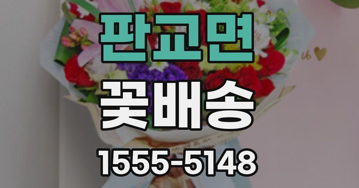 판교면 꽃배송