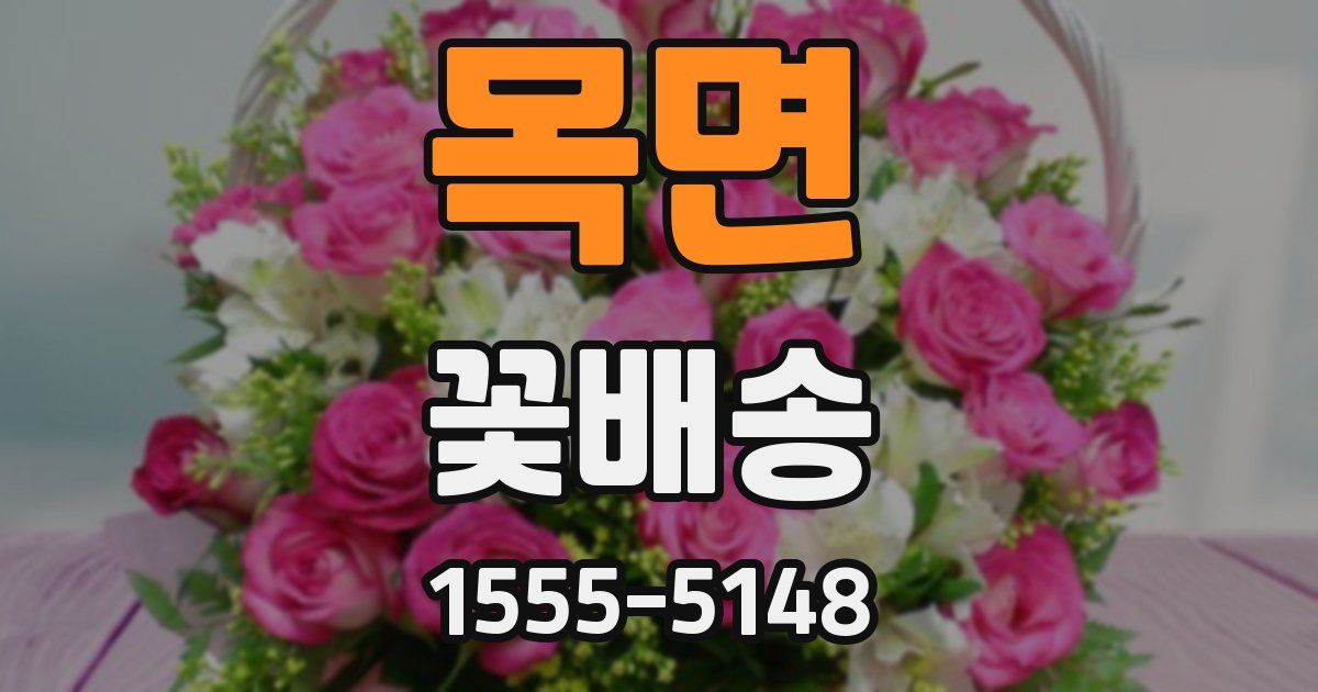 목면 꽃배송