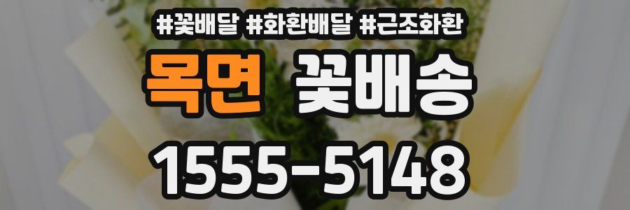 목면 꽃배송