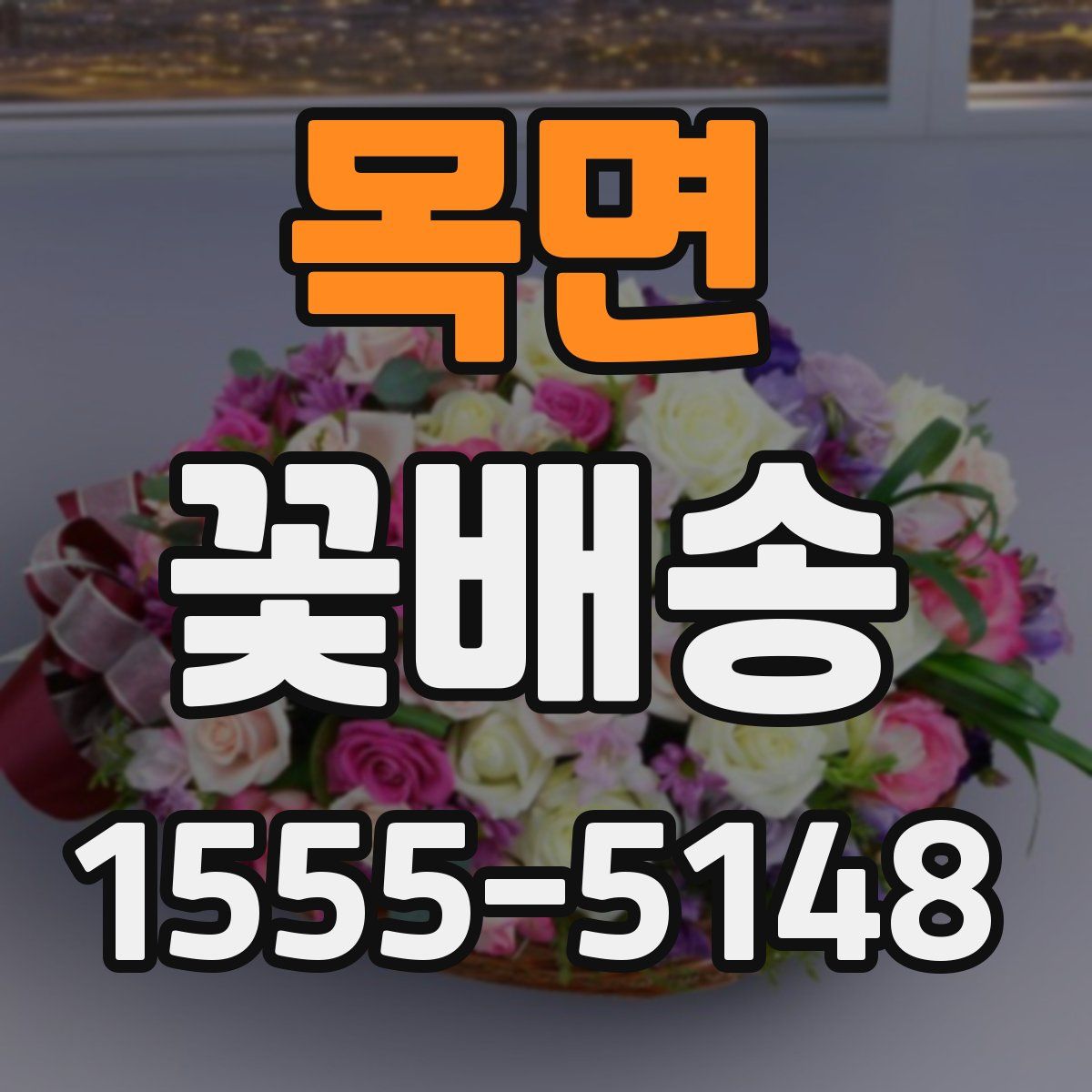 목면 꽃배송