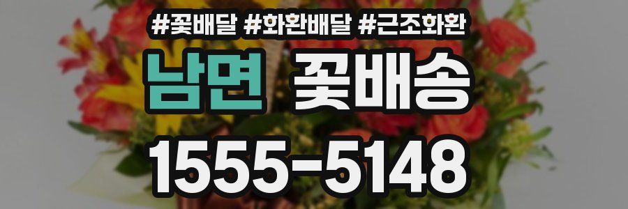남면 꽃배송