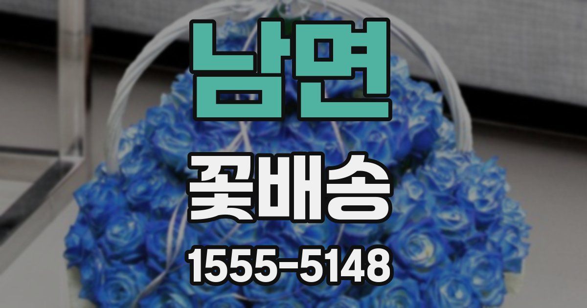 남면 꽃배송